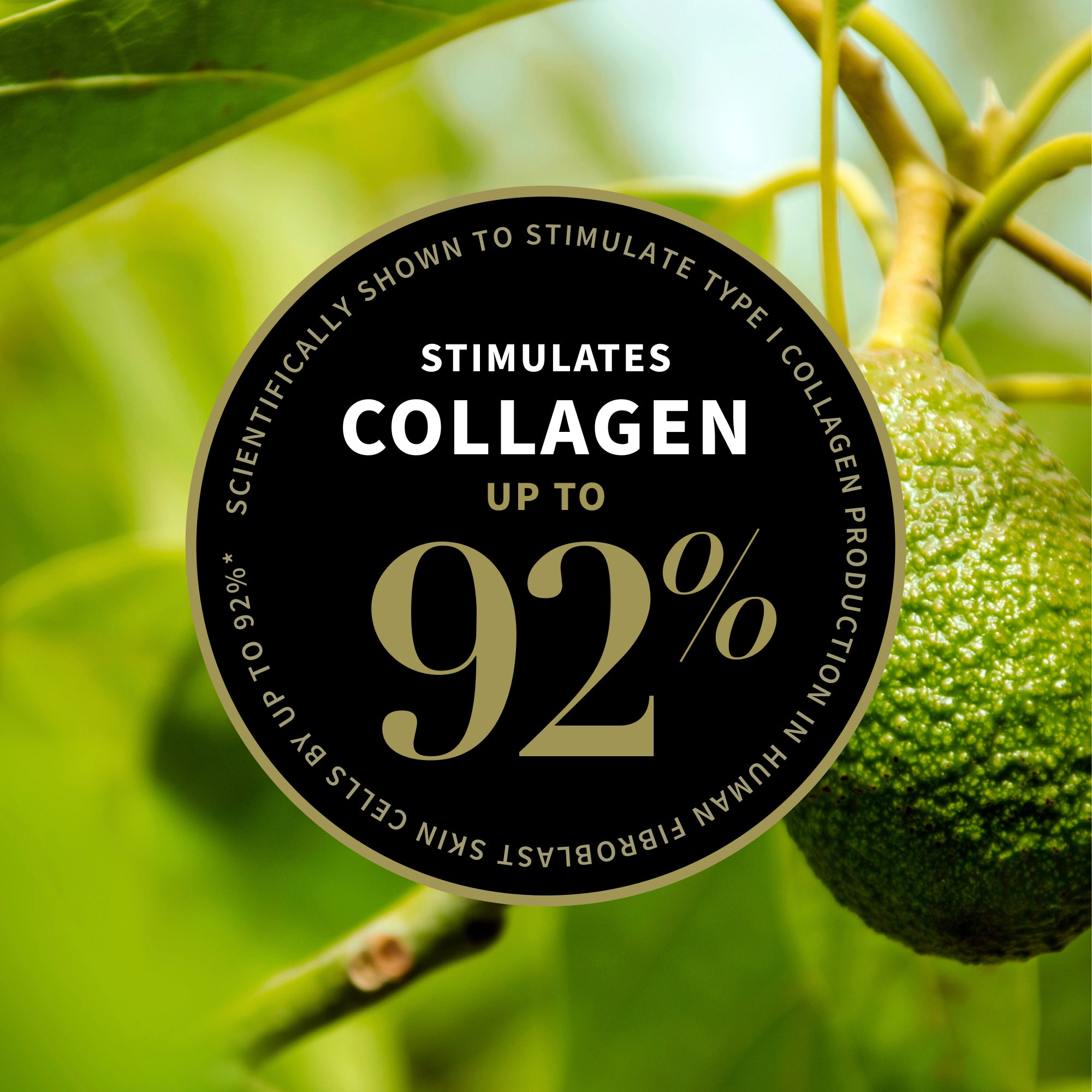 Avocado Pear Collagen Boosting Night Cream