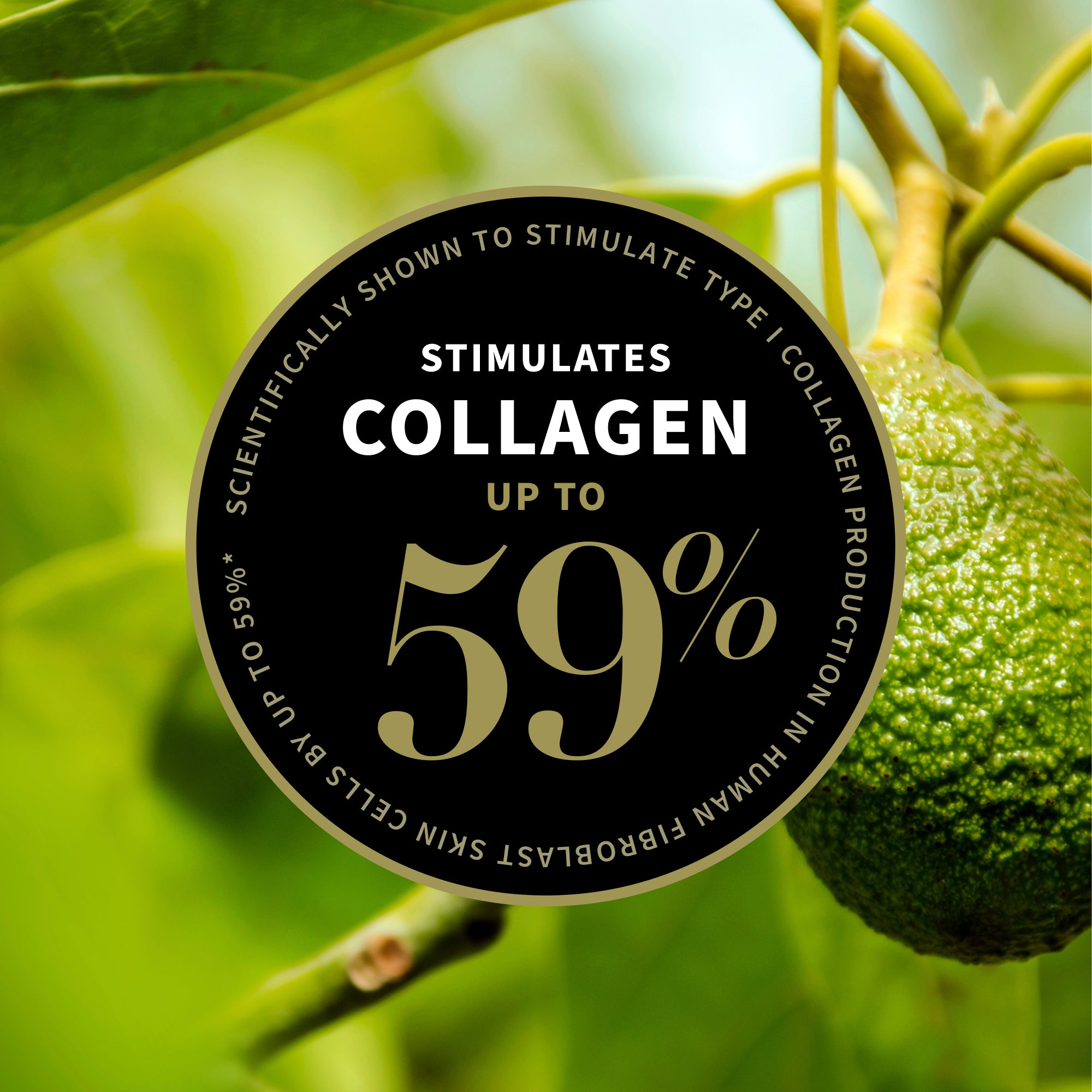 Rejoice Light Facial Day Cream