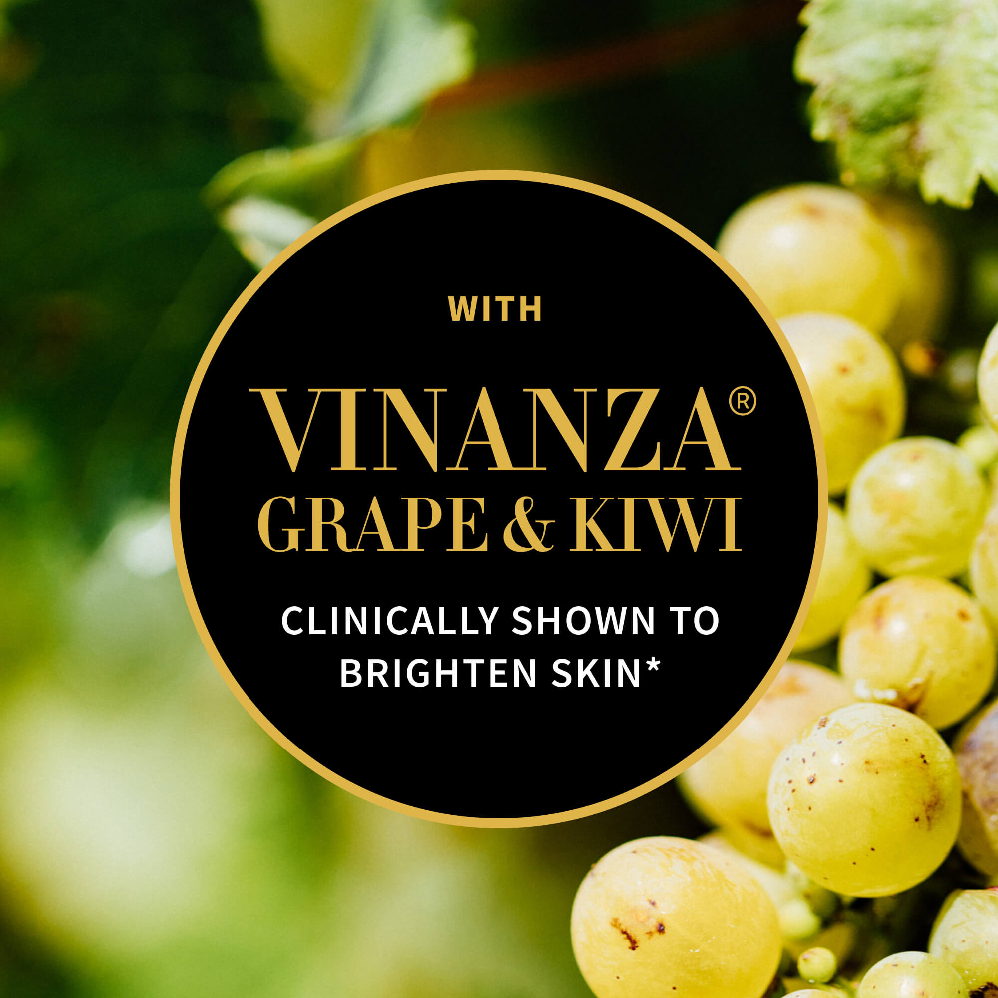 Halo Skin Brightening Mud Mask