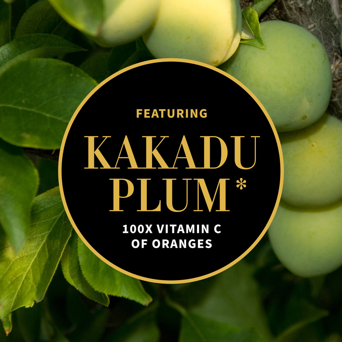 Glow Ritual Vitamin C Serum With Plant Hyaluronic Acid 30ml