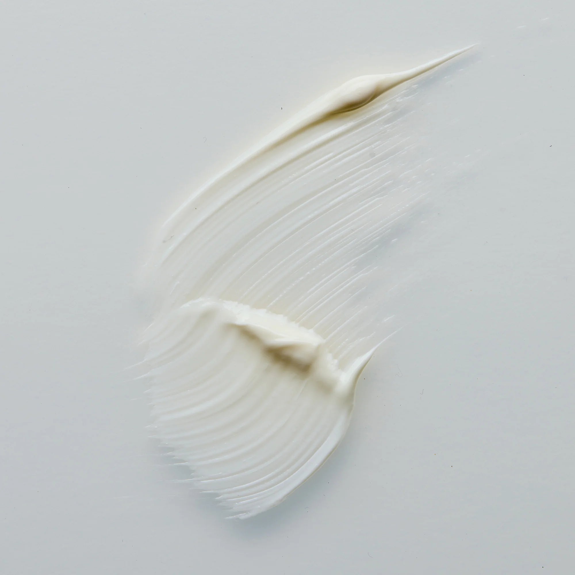 Antipodes Rejoice White cream smear on a light gray background