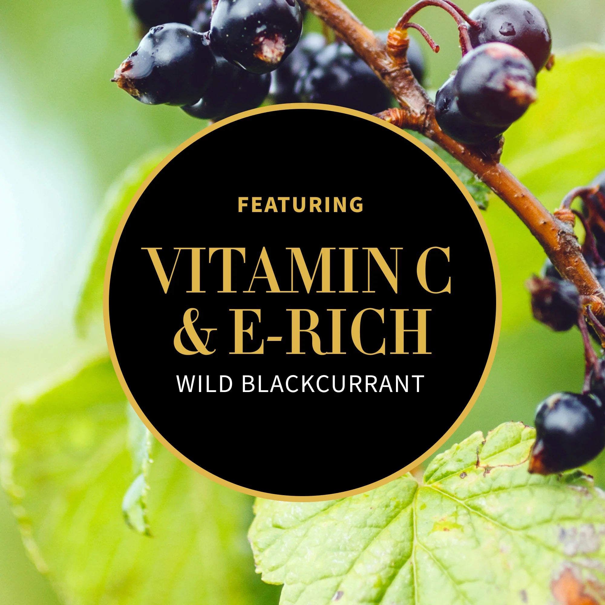 Antipodes Nirvana Hand & Body Wash