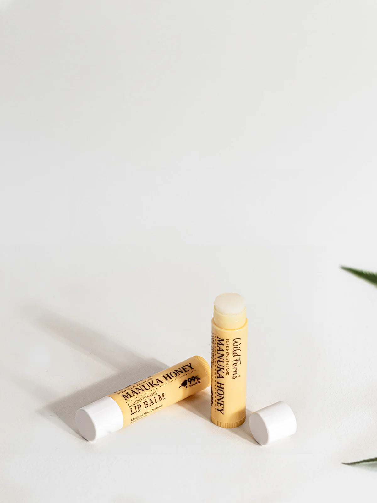 Two WIld Fern's Manuka Honey Lip Balms on a white surface with a minimal background