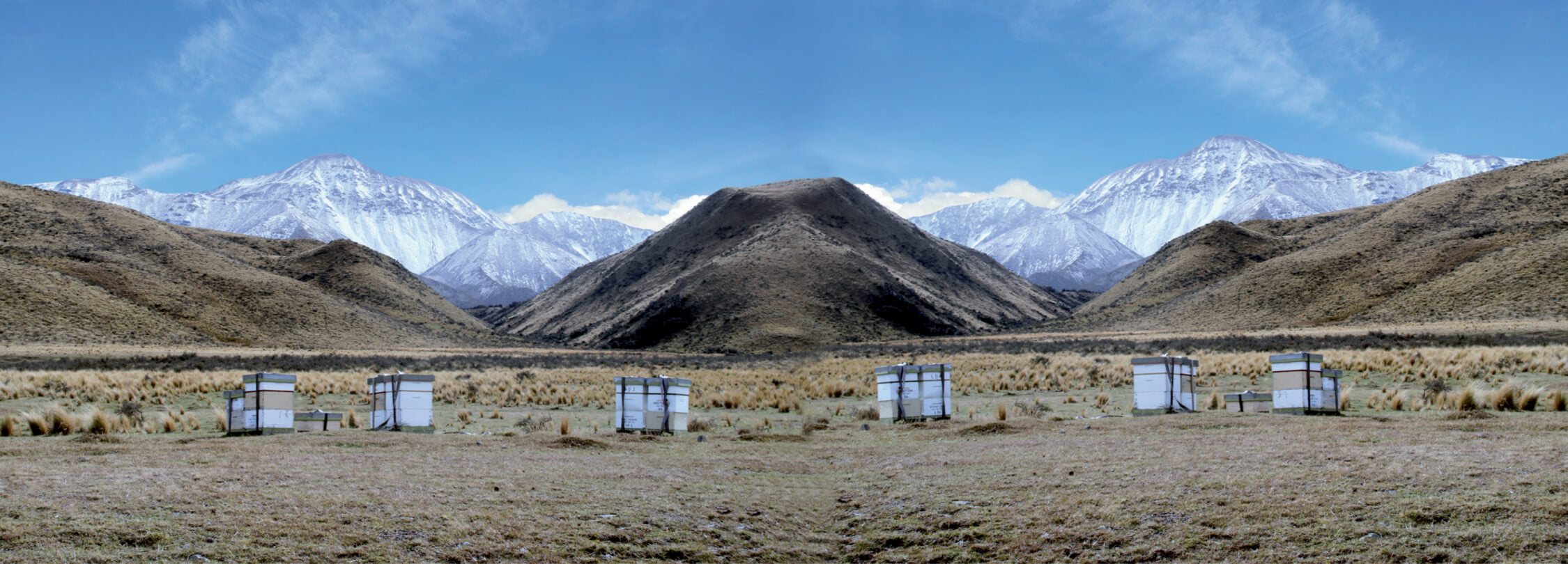 Desert landscape with mountains in the background and multiple targets on a flat field.