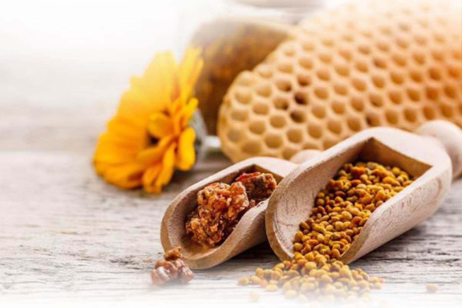 Simple Ways To Improve Your Health With Bee Propolis - Aotea Wellness