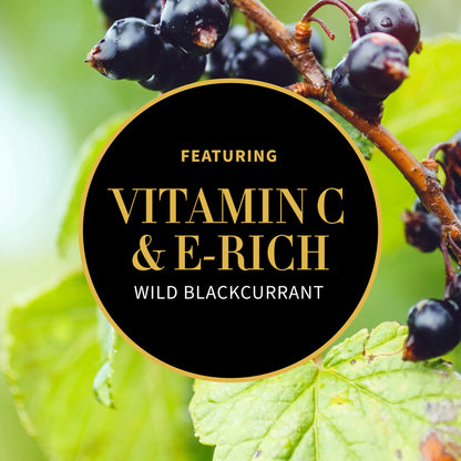 Antipodes Nirvana explanation