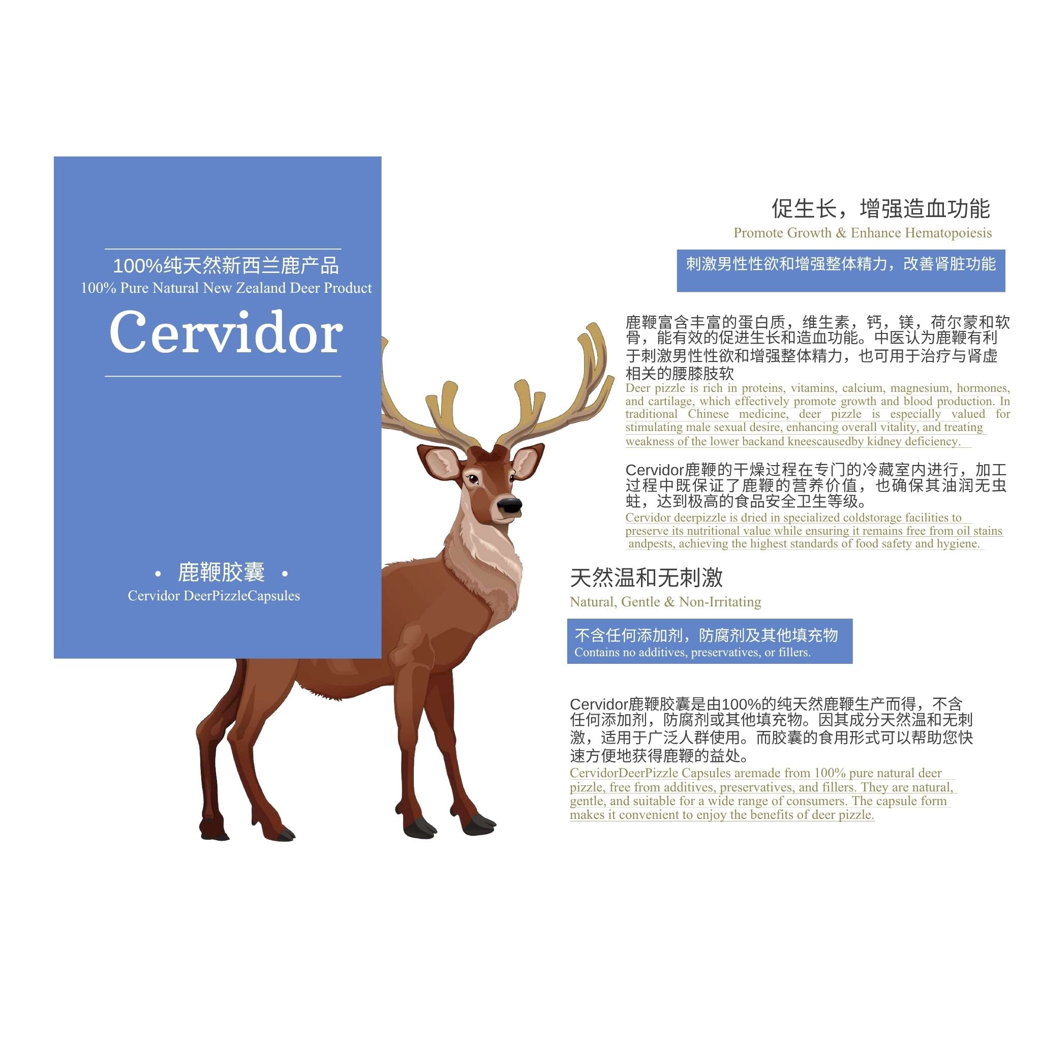 A product information card for Cervidor deer gelatin capsules. The left side features a blue box with the brand name 'Cervidor' and a brown deer illustration.