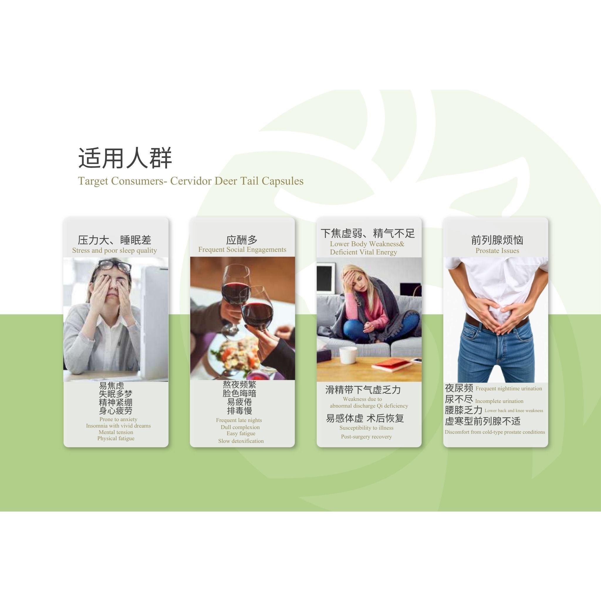 Four vertical informational cards on a light green and white background, each showing a person holding or using a deer tail-shaped supplement capsule. Chinese text appears at the top, with English subtitle 'Target Consumers- Cervical Tail Capsules.