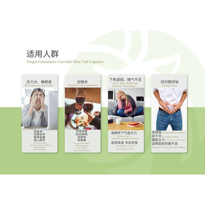 Four vertical informational cards on a light green and white background, each showing a person holding or using a deer tail-shaped supplement capsule. Chinese text appears at the top, with English subtitle 'Target Consumers- Cervical Tail Capsules.