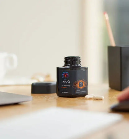 Brain Support 60 Capsules