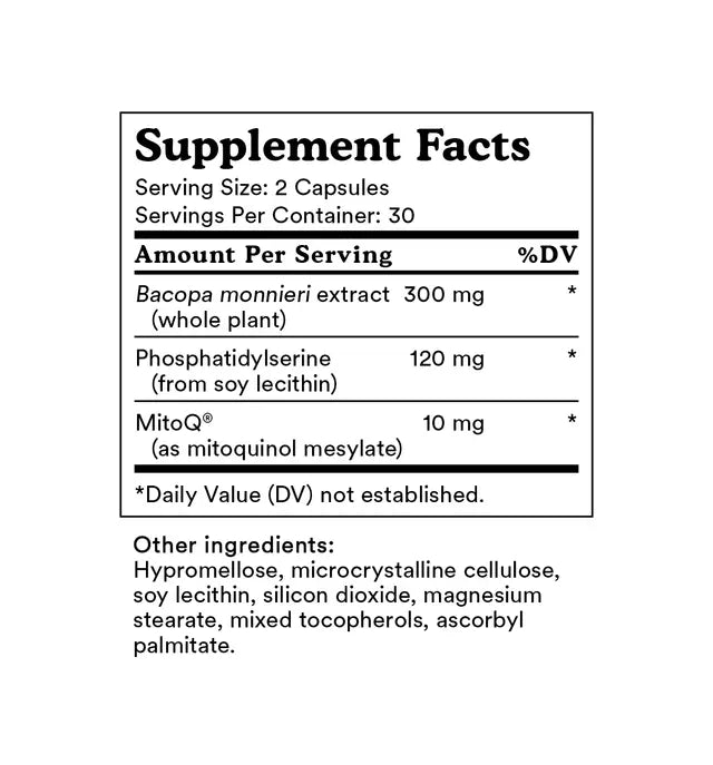 Brain Support 60 Capsules