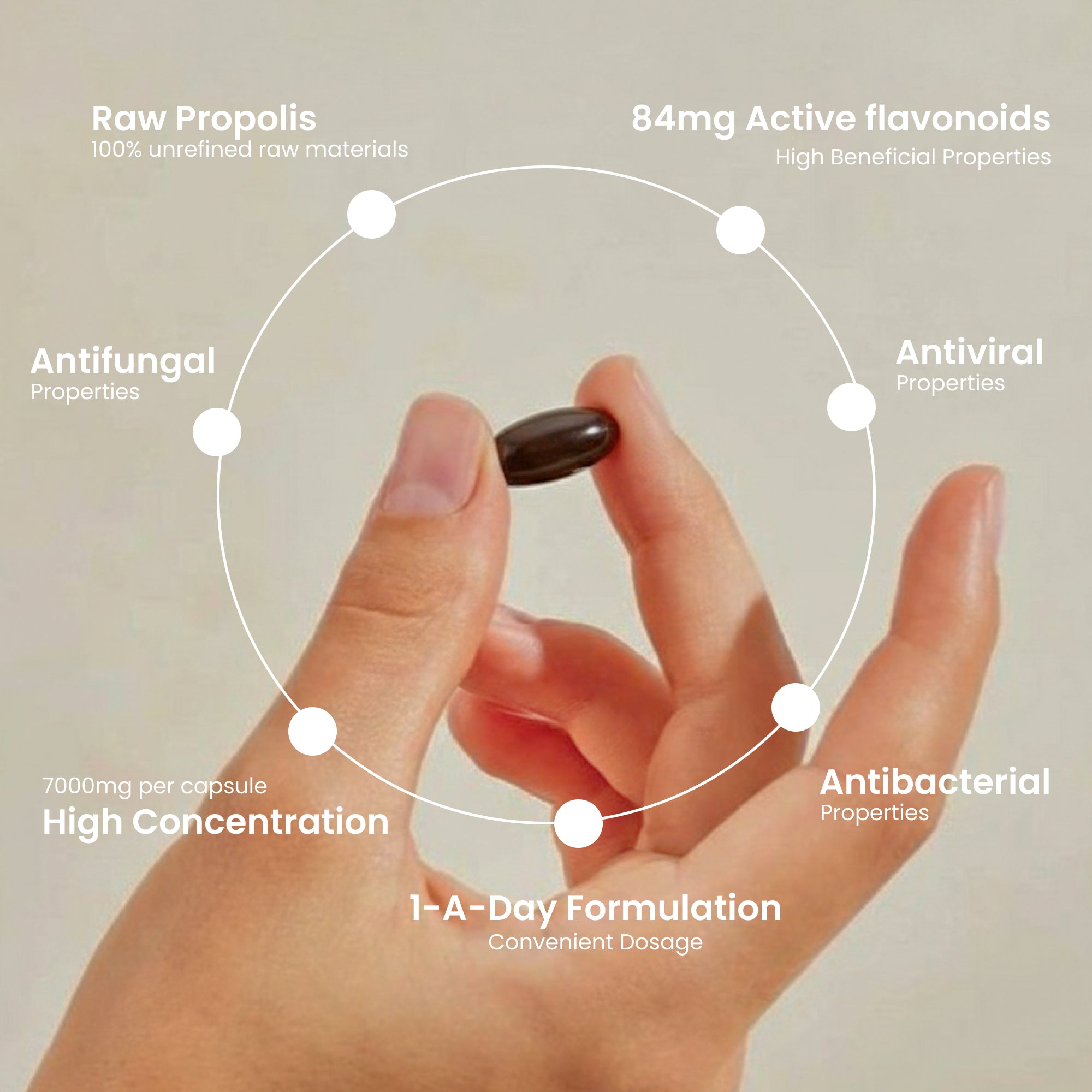 Bee Propolis Capsule Supplements