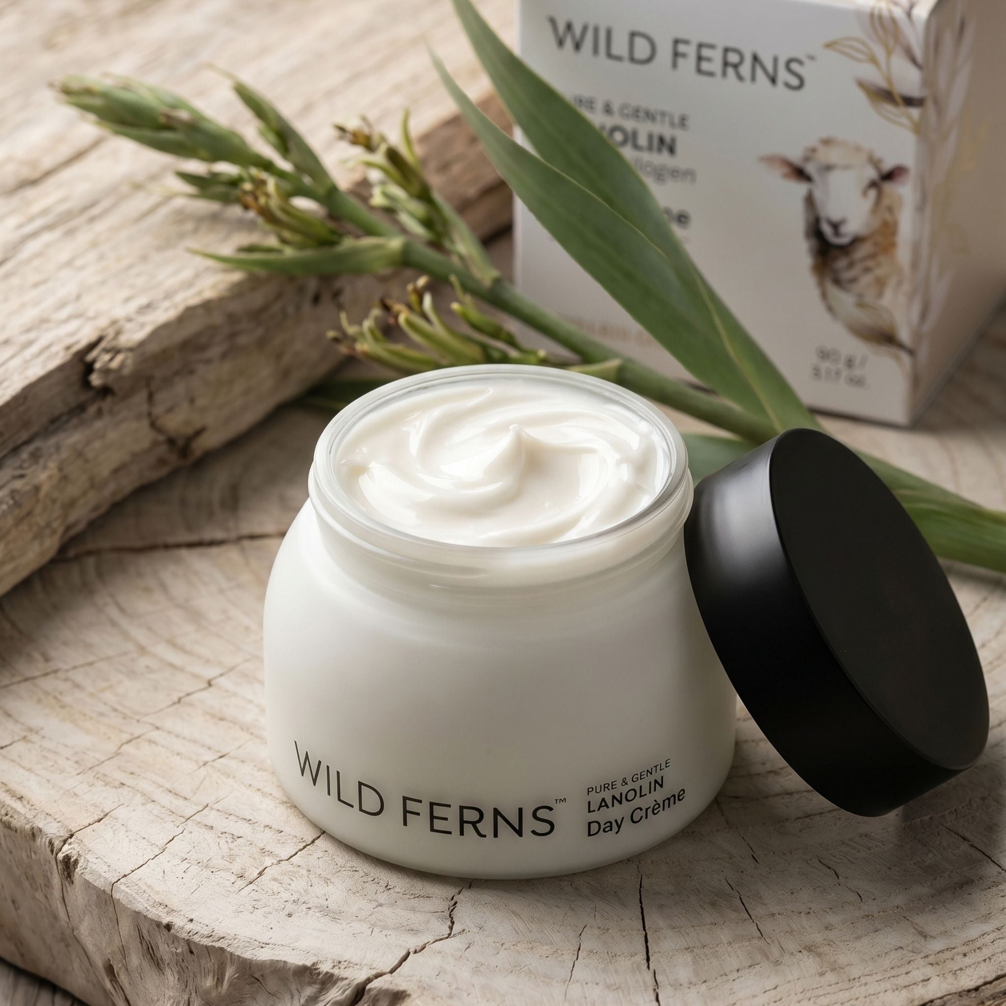 Lanolin Day Cream