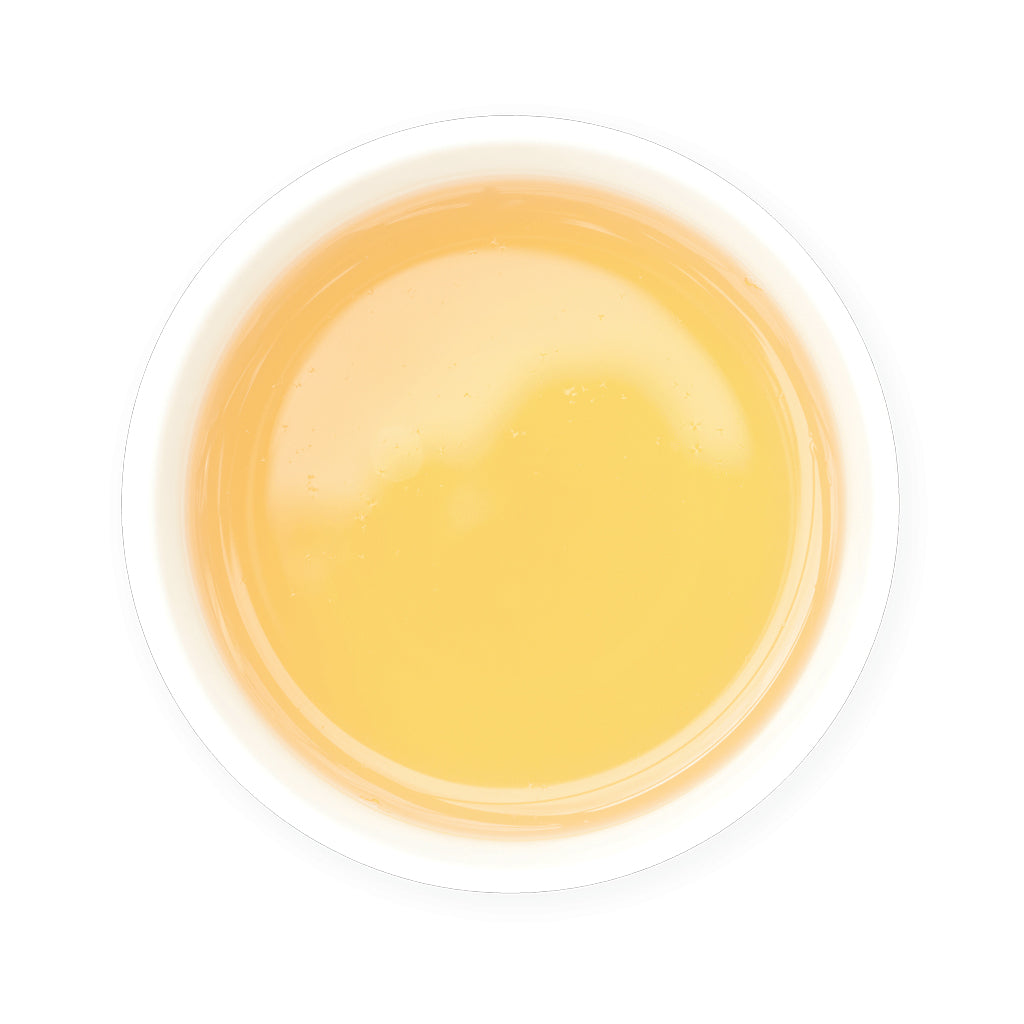 Zealong Tea Yellowish liquid in a small white container on a white background