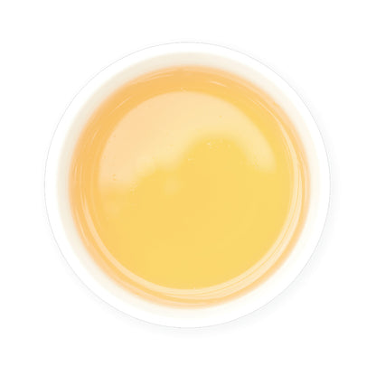 Zealong Tea Yellowish liquid in a small white container on a white background