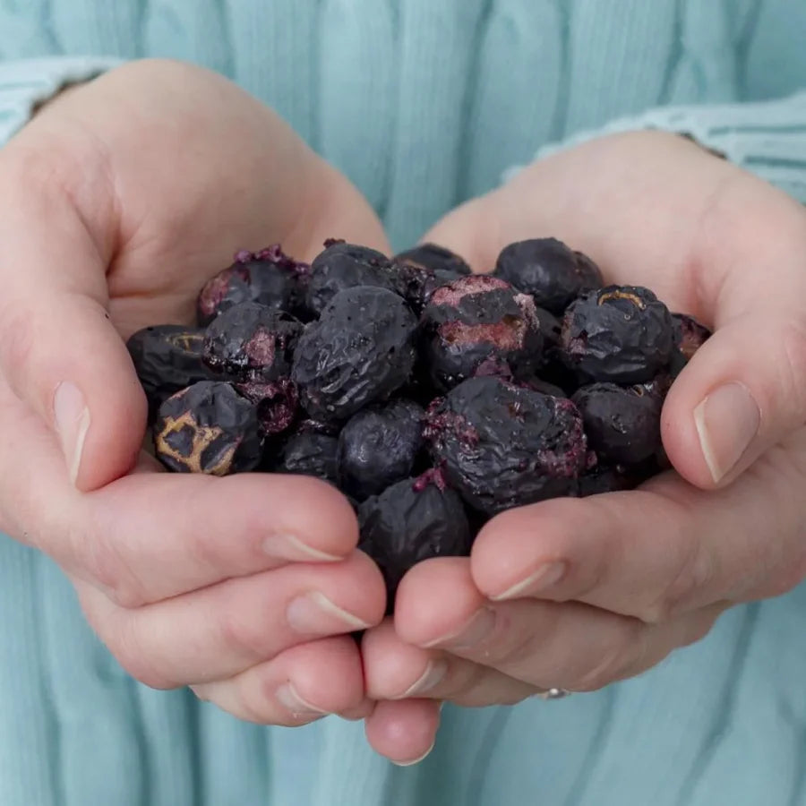 Little Beauties Freeze Dried Blueberries 20g