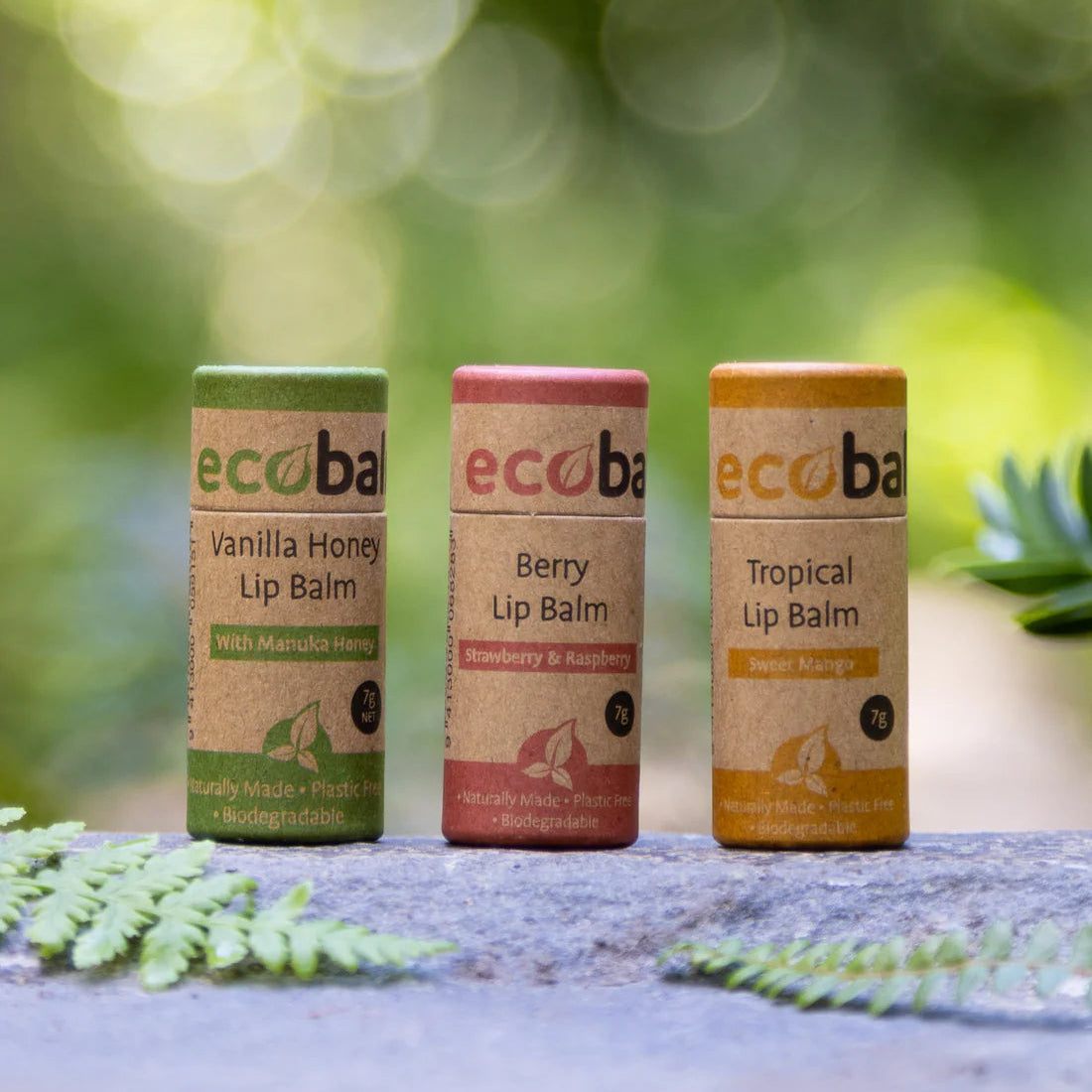 Three eco-ba! lip balm containers on a natural background with greenery.