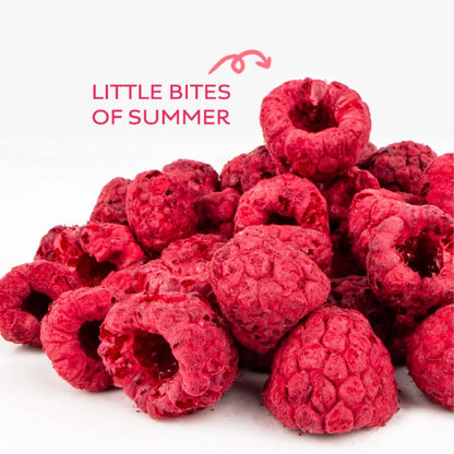 Pile of raspberries with 'Little Bites of Summer' text on a white background