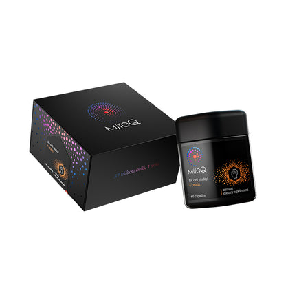 Brain Support 60 Capsules